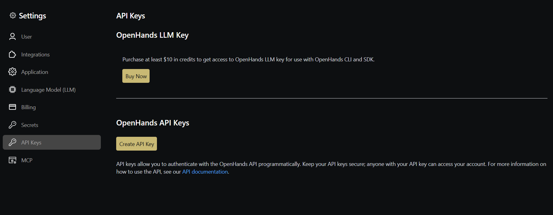 OpenHands Settings Page - API Key